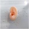 FHUILI Simulation Silicone Ear Model - Soft Silicone Artificial Ear Model for Ear Picking Practice, Long Ear Canal for Teaching Students, Deep Ear Canal Learning Props,Left view 1