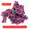 Resveratrol 1000mg Trans-Resveratrol + Quercetin Sirtuin Activator Boosts NAD Levels 120 Capsules 2 Month Supply view 4