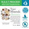 Morter Trace Minerals in Colloidal Suspension (2 Pack) Morter HealthSystem Best Process Alkaline  Nutrient Dense Trace Elements, Fulvic Minerals & Amino Acids view 2
