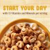 Cheerios Oat Crunch Oats and Honey Breakfast Cereal, 18.2 oz (Pack of 12) view 2