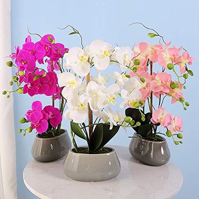Changshuo Artificial Flower Fashion Butterfly Orchid Silk Flower Bundle Wedding Home Decoration Random Delivery