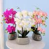 Changshuo Artificial Flower Fashion Butterfly Orchid Silk Flower Bundle Wedding Home Decoration Random Delivery view 1