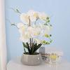 Changshuo Artificial Flower Fashion Butterfly Orchid Silk Flower Bundle Wedding Home Decoration Random Delivery view 3