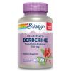 SOLARAY Berberine 500mg - Berberine Supplement for a Healthy, Active Lifestyle - with Berberine HCl from Indian Barberry - Vegan, Non-GMO, 60-Day Guarantee, Lab Verified - 100 Servings, 100 VegCaps view 1