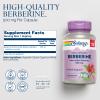 SOLARAY Berberine 500mg - Berberine Supplement for a Healthy, Active Lifestyle - with Berberine HCl from Indian Barberry - Vegan, Non-GMO, 60-Day Guarantee, Lab Verified - 100 Servings, 100 VegCaps view 2