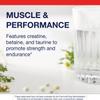 Metagenics Creatine UP  Creatine Supplement for Women & Men with Betaine & Taurine  Supports Muscle Growth, Strength & Recovery  Non-GMO, Gluten-Free  16.93 oz (480g) view 3
