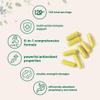 Micro Ingredients Quercetin with Vitamin C and Zinc, 240 Capsules | Quercetin 500mg, Vitamin C 500mg, Zinc 50mg (Picolinate, Citrate, Glycinate, Gluconate) | Complete Immune Support Supplements view 4