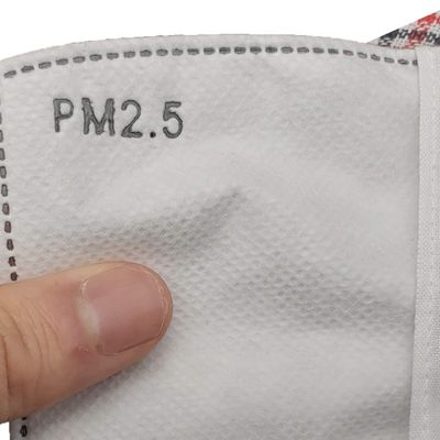 10 PCS PM2.5 Insert Filters Replacement for Filter Pocket with Anti Dust Haze Mouth Cover, Great for Pollen, Pollution, Smog, and Outdoor Usage