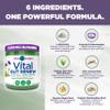 Vital Planet - Vital Gut Renew Powder Supplement for Leaky Gut Repair with L-Glutamine, Marshmallow and Ginger Root, DGL Licorice Root and Organic Aloe Vera, L Glutamine 6000mg 6.88 oz view 3