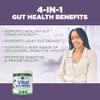 Vital Planet - Vital Gut Renew Powder Supplement for Leaky Gut Repair with L-Glutamine, Marshmallow and Ginger Root, DGL Licorice Root and Organic Aloe Vera, L Glutamine 6000mg 6.88 oz view 4