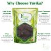 YUVIKA Ratanjot - Onosma echioides - Alkanna Tinctoria - Alkanet Root (400 Grams) view 3