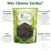YUVIKA Ratanjot - Onosma echioides - Alkanna Tinctoria - Alkanet Root (200 Grams) view 4