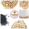Bulk 25 lbs Essential Pantry Grains | 5lbs Pinto Beans | 5lbs black beans | 5lbs black-eyed beans | 5 lbs garbanzo beans | 5 lbs jasmine rice | Premium Quality | Dulceria Vargas view 1