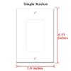 Switch Plate Single Rocker/GFCI - Chilli Spices Dry Red Chili Ingredient Hot view 2