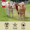 Aufschnitt Grass Fed Beef Jerky - Low Sodium, Certified Kosher - Made in USA - Keto Friendly - 2 Pack, Variety view 4