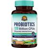 VITALITOWN Probiotics 120 Billion CFUs | 36 Strains, with Prebiotics & Digestive Enzymes for Men Women | Shelf Stable | Digestive Health & Immune Support | Vegan, Non-GMO | 30 Delayed Release Veg Caps view 1