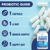 Probiotics 60 Billion CFU with Prebiotic Formula - Probiotics for Women and Men and Adults, 100% Natural Digestive Enzymes, Shelf Stable Probiotic Supplement Prebiotic view 4