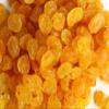 Aiva Golden California Raisins (2 LB)  Naturally Sweet Dried Fruit for Snacking, Baking, and Cooking view 3