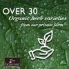 Bravo Tea Absolute Honeysuckle Herbal Tea Caffeine Free, 20 Tea Bags, 6 Count view 4