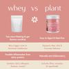 Boobie Body Superfood Protein Pregnancy and Postpartum Meal Replacement Shake, Vanilla Cookie Flavor | 19g Protein | Safe for Lactation & Motherhood | Organic, Vegan, Zero Sugar, 1 Tub (20 Servings) view 3