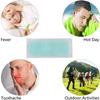 20 Sheets Fever Cooling Gel Patches, Forehead Strips for Dog Foot Baby Kids Children Adult - Relieve Headache, Toothache Pain, Drowsiness, Fatigue, Refreshing, Sunstroke view 4