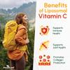 ForestLeaf Liposomal Vitamin C 1000mg Capsules | High Dose Vitamin C Liposomal Supplement w Coconut Oil Fatty Acids | Fast Absorption | Immune Support, Antioxidant, Collagen Production | 120 Vegan Cap view 3