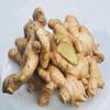 Kejora Premium Fresh Ginger Root 2 LBS view 3