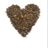 Burdock Root, Dried Cut & Sifted, 8 oz, Arctium lappa L, Burdock Herbal Tea, Product from Turkey, Packaged in the USA (8 oz.) view 2