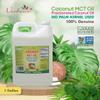 Verdana MCT Oil, Fractionated, 100% from Coconut - 1 Gallon - Kosher Food Grade, Vegan, Non-GMO - Great for Keto and Paleo Diet (128 Fl Oz) view 2