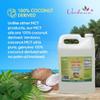 Verdana MCT Oil, Fractionated, 100% from Coconut - 1 Gallon - Kosher Food Grade, Vegan, Non-GMO - Great for Keto and Paleo Diet (128 Fl Oz) view 3