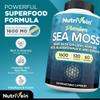 Nutrivein Organic Sea Moss 1600mg Plus Bladderwrack & Burdock - 120 Caps for Adults - Prebiotic Super-Food - Immune System & Digestive Health - Thyroid, Skin, Keto Detox, Gut, Joint Support view 3