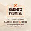 100% Organic All Purpose Unbleached White Baking Flour - 10 Pound view 4