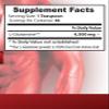 Brain and Memory Booster - Pure GLUTAMINE Powder 4,500MG - Immune Support, glutamine Powder Supplement, Energy Booster Supplements, l glutamine pre Workout, l glutamine Post Workout 3 Bottle (900g) view 2