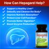 Hepagard - Natural Liver Support Supplement with N-Acetyl Cysteine (NAC) - Non-GMO, Vegan, Gluten-Free view 2