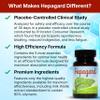 Hepagard - Natural Liver Support Supplement with N-Acetyl Cysteine (NAC) - Non-GMO, Vegan, Gluten-Free view 4