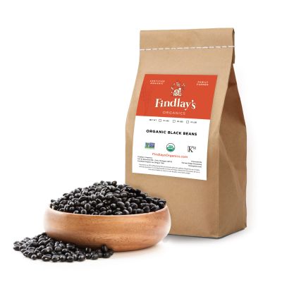 Black Beans Organically Grown in Michigan, USDA Organic Certified, Non-GMO, Farmer Direct, Gluten Free, Vegan, Frijoles Negros, Dry 10 Lbs / 4.53 Kg Total // Findlay's Organics