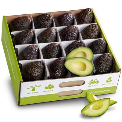 A Gift Inside Branch to Box 16 Count Avocado Box
