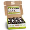 A Gift Inside Branch to Box 16 Count Avocado Box view 2