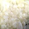 Chios Mastiha Tears Gum Greek 100% Natural Mastic Packs From Mastic Growers (25gr Medium Tears) view 3