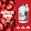 Levels Grass Fed Whey Protein Powder, No Artificials, 24G of Protein, Strawberry, 5LB view 2