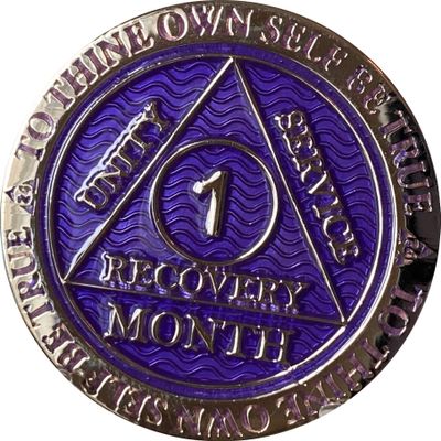 1 Month AA Medallion Reflex Purple Silver Plated Chip