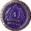 1 Month AA Medallion Reflex Purple Silver Plated Chip view 3
