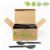 Compostable Heavyweight Disposable Spoons - (10 / 100ct Boxes) Value Pack, CPLA Spoons (1000 Spoons) - Eco Friendly Compostable Spoons Made from Renewable Resources view 2