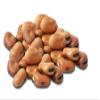 California Garden Premium Kosher Plain Fava Beans 16 Cans 16oz/450g each view 3