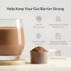 Microbiome Breakthrough Gut Support Powder Chocolate Flavor With Lactobacillus Strains, Bone Broth & Collagen Source of L-Glutamine Supports Digestive Comfort, Gas & Bloating Relief 30 Servings* view 2