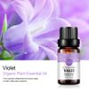 Violet Essential Oil 100% Pure Oganic Plant Natrual Flower Essential Oil for Diffuser Message Skin Care - 10ML view 4