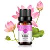 Lotus Essential Oil 100% Pure Oganic Plant Natrual Flower Essential Oil for Diffuser Message Skin Care - 10ML view 1