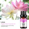 Lotus Essential Oil 100% Pure Oganic Plant Natrual Flower Essential Oil for Diffuser Message Skin Care - 10ML view 4