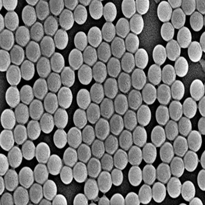 Alpha Nanotech Colloidal Polystyrene Beads (Non-Functionalized; 50 m, 10 mg/ml, 10 ml)