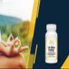 100 Billion Probiotic CFU with 12 Strains 30-Vegcaps - Sustained Release Technology, Resist Stomach Acid, Shelf Stable - Support for Healthy Digestion & Intestinal Ecology Favorable Intestinal Flora view 4